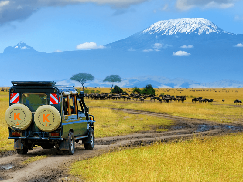 Tanzania Wildlife & Zanzibar Beach Escape